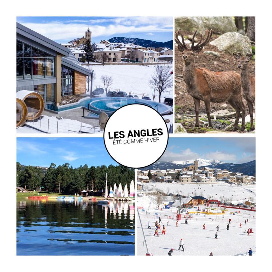 Le Petit Ours & Le Petit Cerf - Studios Vue Lac & Montagnes Les Angles  Exterior foto